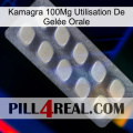 Kamagra 100Mg Utilisation De Gelée Orale 08